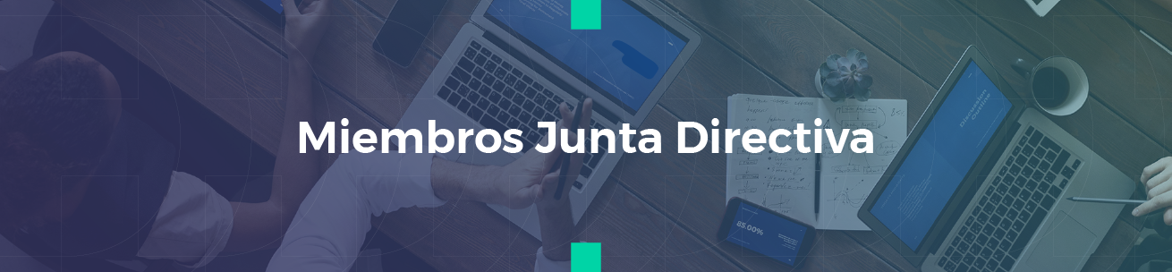 junta directiva